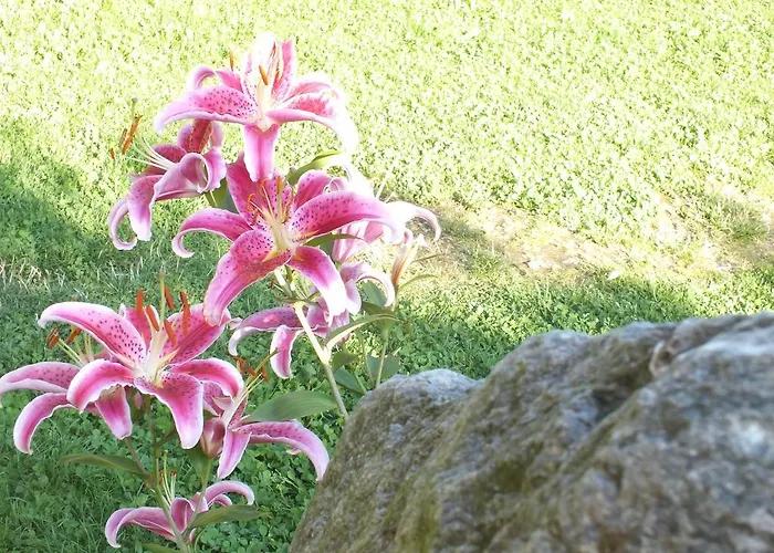 Steurer Hof Apartament *