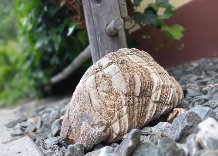 Lägenhet Steurer Hof Liebenfels