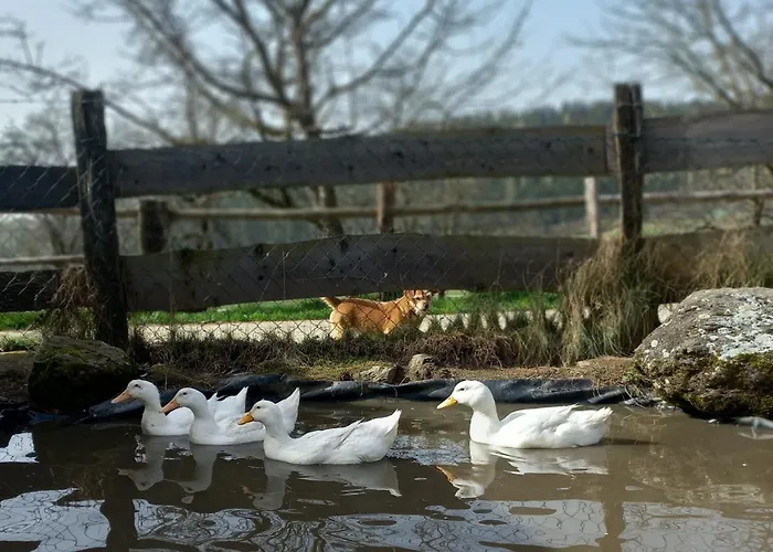 Steurer Hof Appartement Liebenfels