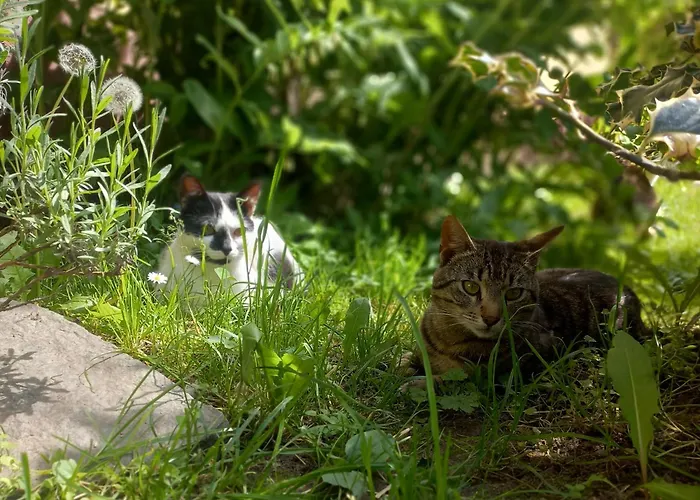Steurer Hof Liebenfels