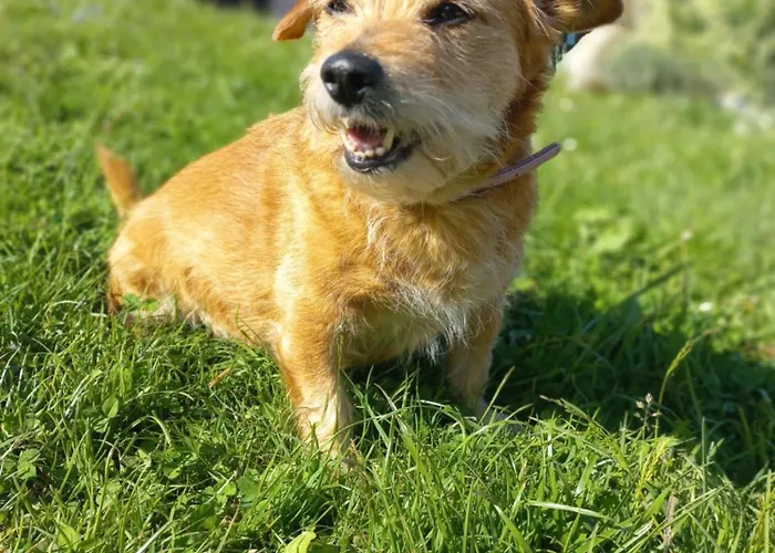 Steurer Hof * Liebenfels