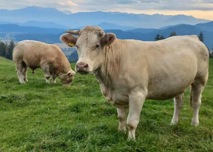 Steurer Hof Lägenhet