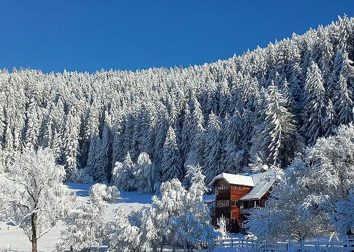 Steurer Hof Liebenfels