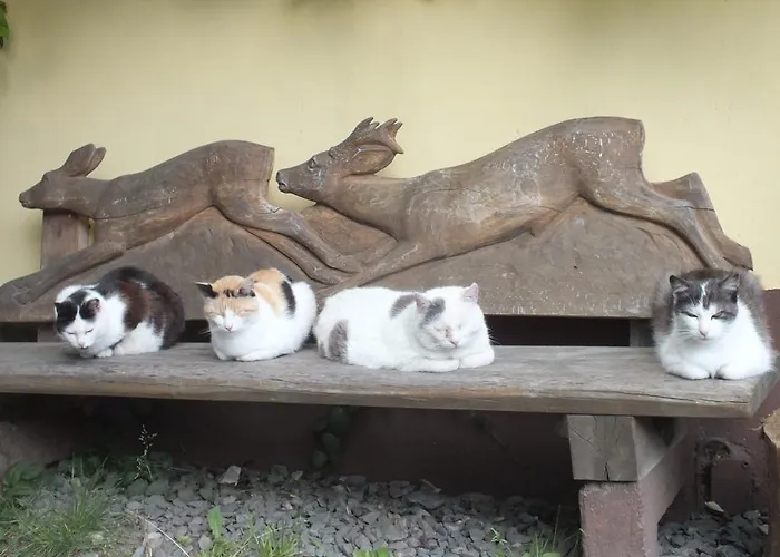 Lägenhet Steurer Hof