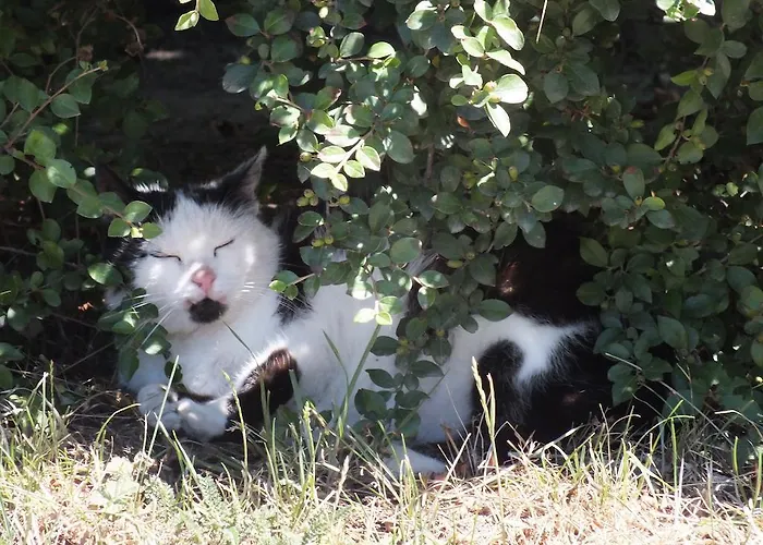 Apartament Steurer Hof