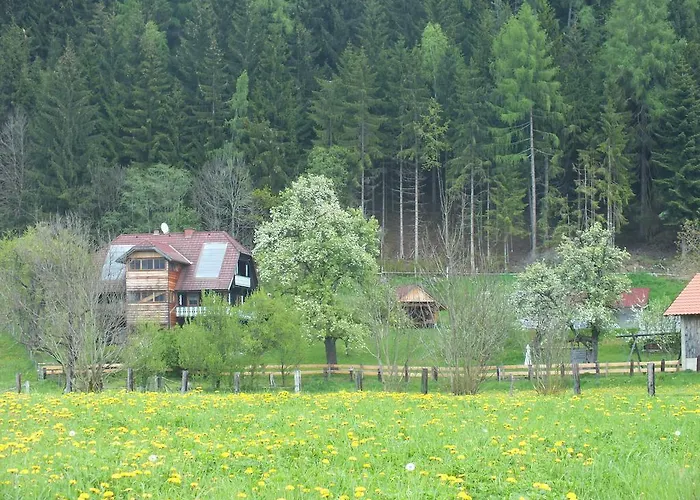 Apartament Steurer Hof *