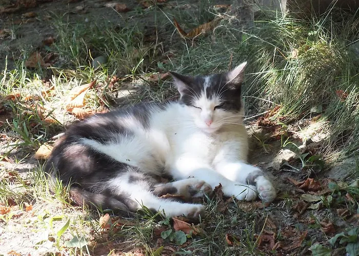 Steurer Hof * Liebenfels